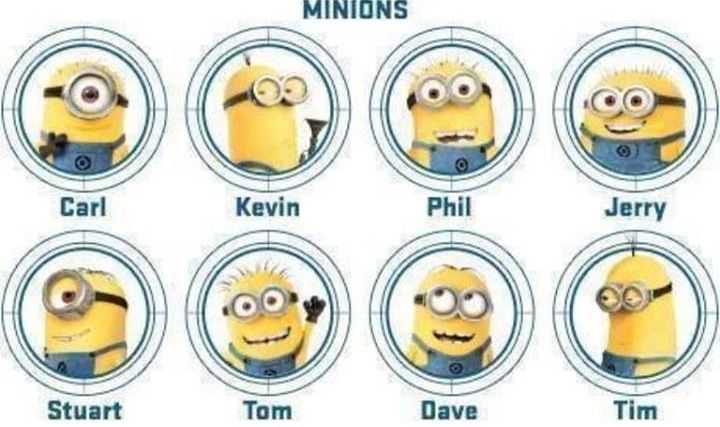 lot of minions